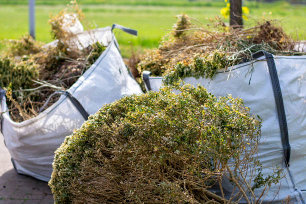 Best Carpet Removal and Disposal  in Bradley, IL